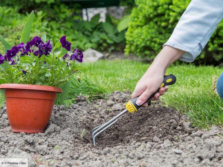 4 initiatives solidaires pour les amoureux du jardinage